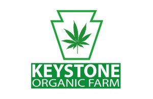 keystoneorganicfarm8